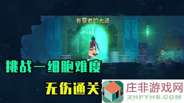 重生细胞萌新必看！新手心得与实战技巧大揭秘