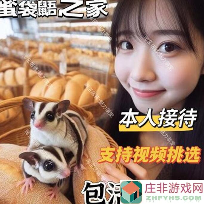飞吧龙骑士攻略神器！新人必看，教你如何高效讨伐骑士团，轻松拿最高奖励，成为战神！