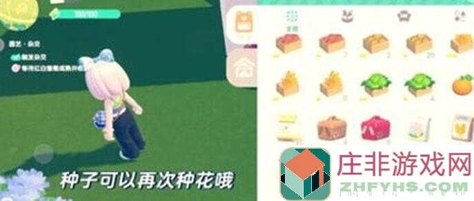 心动小镇植物图鉴：雏菊花怎么种植解说秒懂