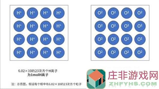 摩尔庄园种植达人速成秘籍：升级攻略大放送，手把手教你不迷路