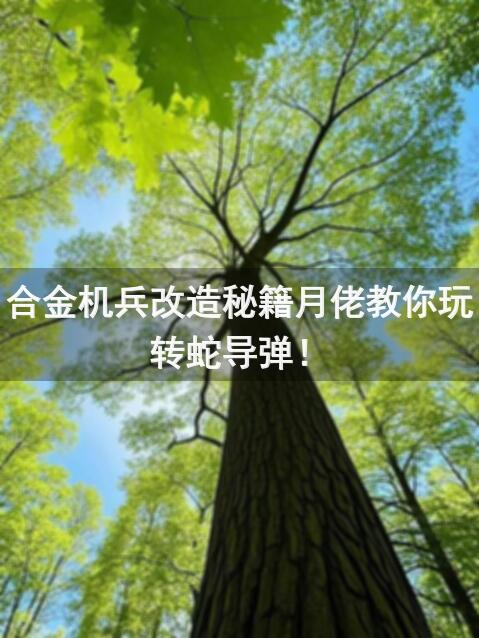 合金机兵改造秘籍月佬教你玩转蛇导弹！